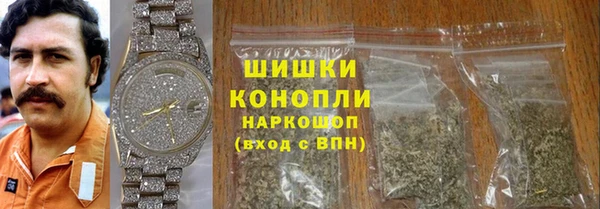сатива Козельск
