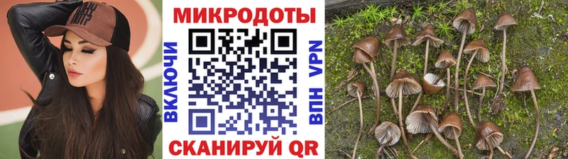 Псилоцибиновые грибы мицелий  Липецк 